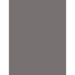 COLOR ONE pł.ścienna ( Concept Plus ) 25x33 RAL 0805005 WAAKB011 szkliwiona błyszcząca